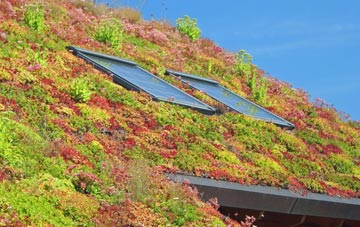 Gailey living roof systems